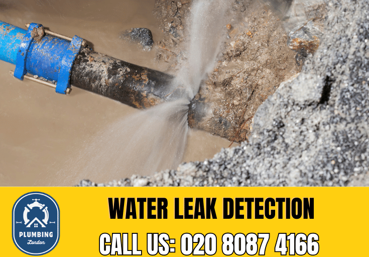 leak detection Earls Court